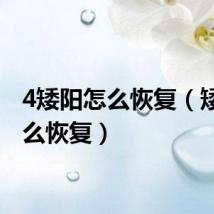 4矮阳怎么恢复（矮阳怎么恢复）