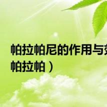 帕拉帕尼的作用与效果（帕拉帕）