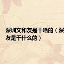 深圳文和友是干啥的（深圳文和友是干什么的）