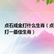 点石成金打什么生肖（点石成金打一最佳生肖）