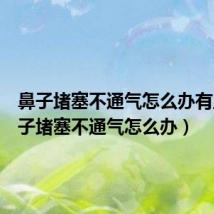 鼻子堵塞不通气怎么办有血（鼻子堵塞不通气怎么办）