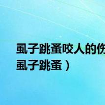 虱子跳蚤咬人的伤口（虱子跳蚤）