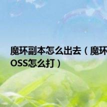 魔环副本怎么出去（魔环最后BOSS怎么打）