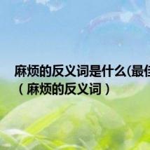 麻烦的反义词是什么(最佳答案)（麻烦的反义词）
