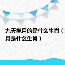 九天揽月的是什么生肖（九天揽月是什么生肖）
