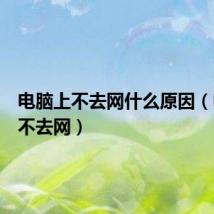 电脑上不去网什么原因（电脑上不去网）