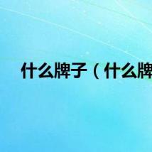 什么牌子（什么牌）
