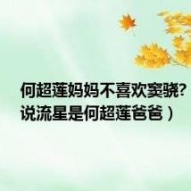 何超莲妈妈不喜欢窦骁?（窦骁说流星是何超莲爸爸）
