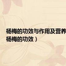 杨梅的功效与作用及营养价值（杨梅的功效）