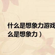 什么是想象力游戏（什么是想象力）