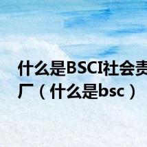 什么是BSCI社会责任验厂（什么是bsc）
