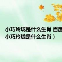 小巧玲珑是什么生肖 百度网盘（小巧玲珑是什么生肖）