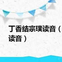 丁香结宗璞读音（宗璞读音）