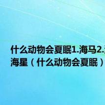 什么动物会夏眠1.海马2.海参3.海星（什么动物会夏眠）