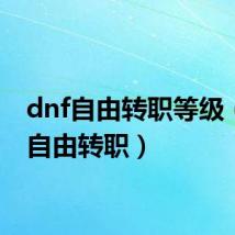 dnf自由转职等级（dnf自由转职）