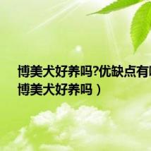 博美犬好养吗?优缺点有哪些（博美犬好养吗）