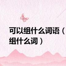 可以组什么词语（可以组什么词）