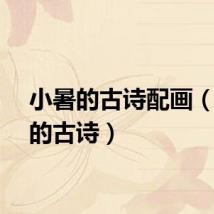 小暑的古诗配画（小暑的古诗）