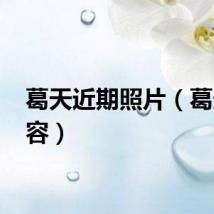 葛天近期照片（葛天 整容）