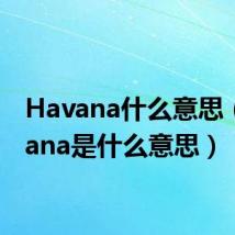 Havana什么意思(havana是什么意思)