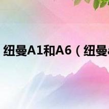 纽曼A1和A6（纽曼a1）