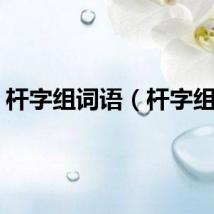 杆字组词语（杆字组词）