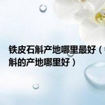 铁皮石斛产地哪里最好(铁皮石斛的产地哪里好)