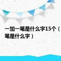一加一笔是什么字15个(一加一笔是什么字)