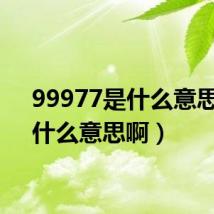 99977是什么意思啊(什么意思啊)