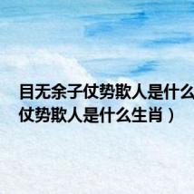 目无余子仗势欺人是什么生肖(仗势欺人是什么生肖)