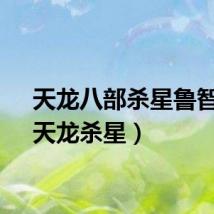 天龙八部杀星鲁智深（天龙杀星）