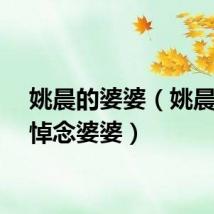 姚晨的婆婆（姚晨发文悼念婆婆）