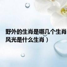 野外的生肖是哪几个生肖(野外风光是什么生肖)