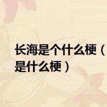 长海是个什么梗（长海是什么梗）