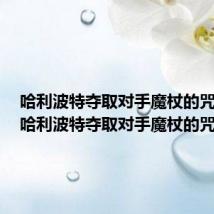 哈利波特夺取对手魔杖的咒语是(哈利波特夺取对手魔杖的咒语)