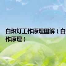 白炽灯工作原理图解（白炽灯工作原理）
