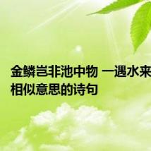 金鳞岂非池中物 一遇水来便化龙相似意思的诗句