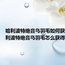 哈利波特绝音鸟羽毛如何获得（哈利波特绝音鸟羽毛怎么获得）