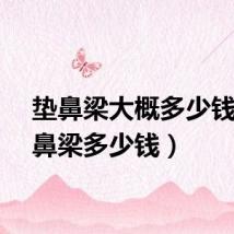 垫鼻梁大概多少钱（垫鼻梁多少钱）