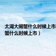 太湖大闸蟹什么时候上市(大闸蟹什么时候上市)