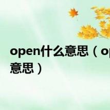 open什么意思(op什么意思)