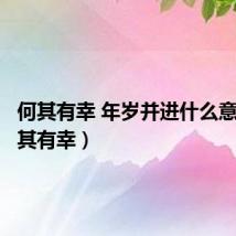 何其有幸 年岁并进什么意思(何其有幸)