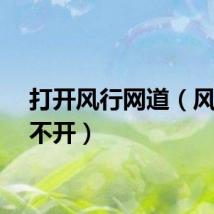 打开风行网道（风行打不开）