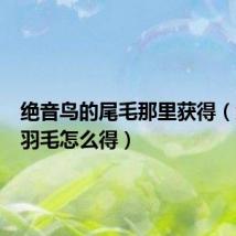 绝音鸟的尾毛那里获得（绝音鸟羽毛怎么得）