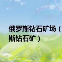 俄罗斯钻石矿场（俄罗斯钻石矿）