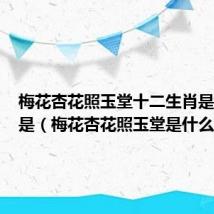 梅花杏花照玉堂十二生肖是什么肖是（梅花杏花照玉堂是什么生肖）