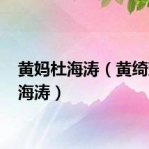 黄妈杜海涛（黄绮珊 杜海涛）