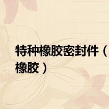 特种橡胶密封件（特种橡胶）