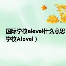 国际学校alevel什么意思(国际学校Alevel)