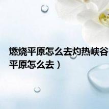燃烧平原怎么去灼热峡谷(燃烧平原怎么去)